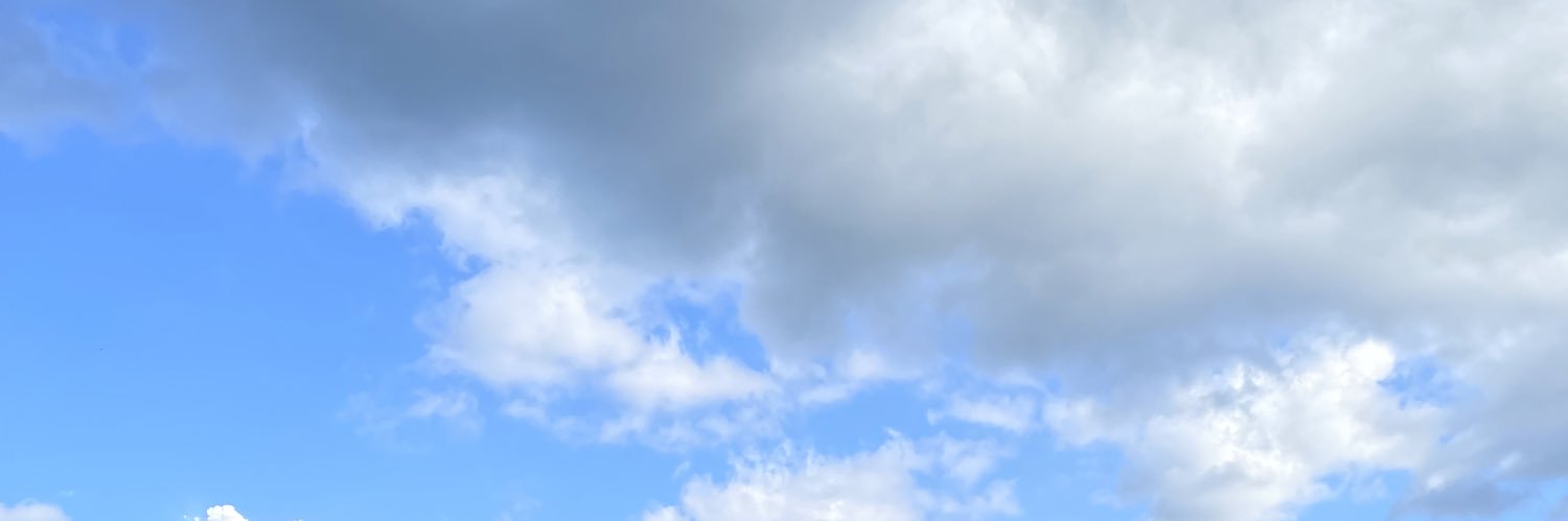 dangsingson's profile banner image