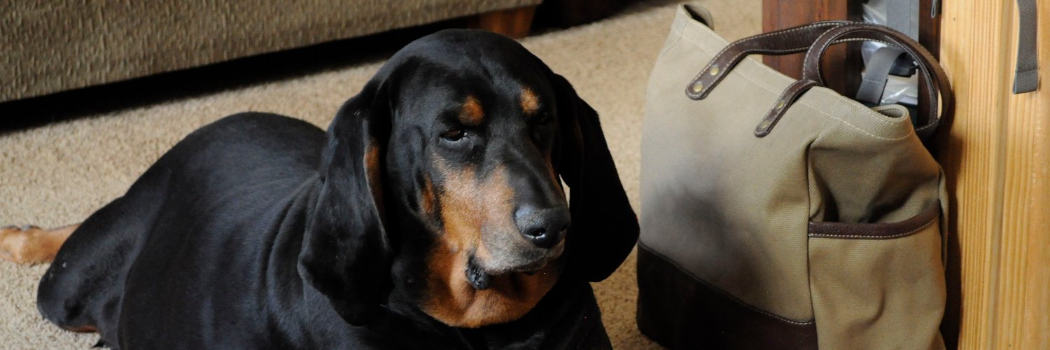 Stephen 🚫DMs 🇺🇸🌊㎚ 🌶 🇺🇦🌶 → ∞ 🥧💉x6 banner