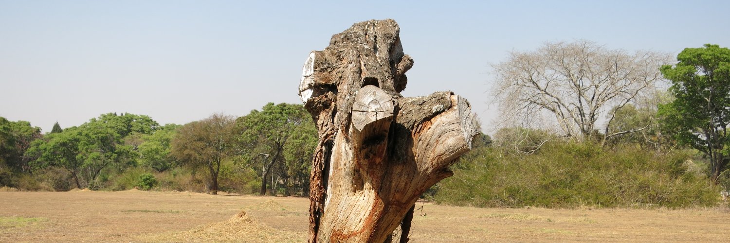Lisa Thalheimer, DPhil banner