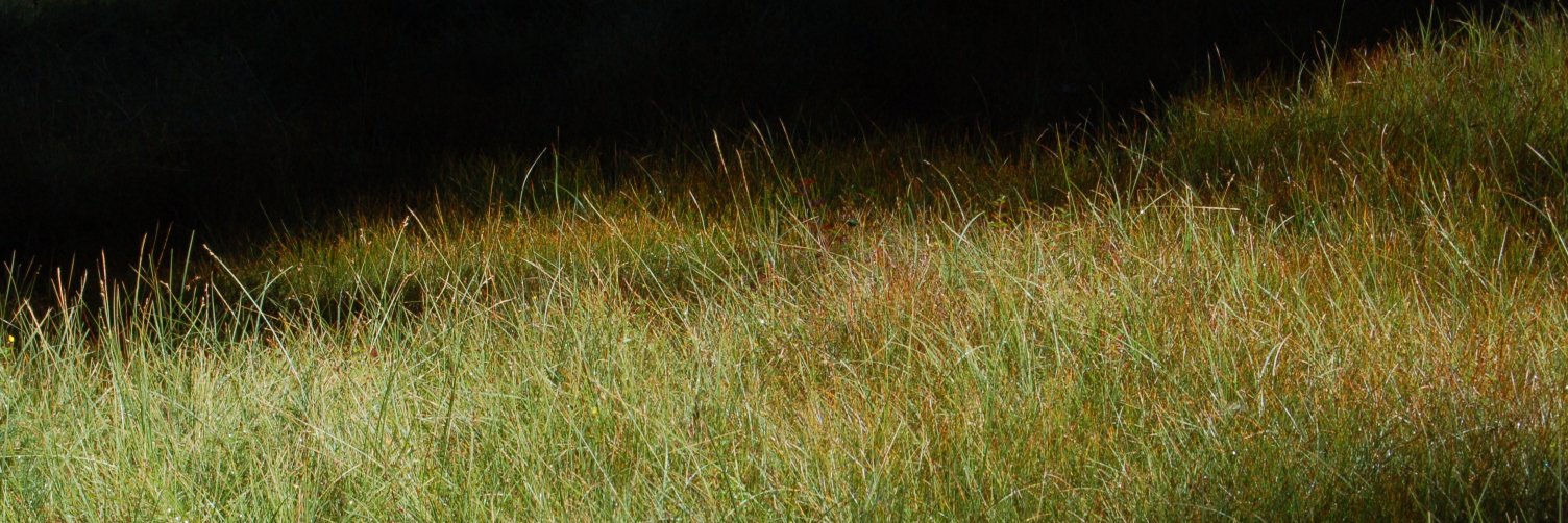 lexcellenthomas's profile banner image