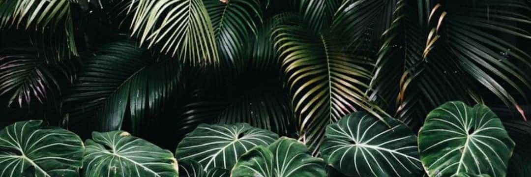 lebun0626's profile banner image