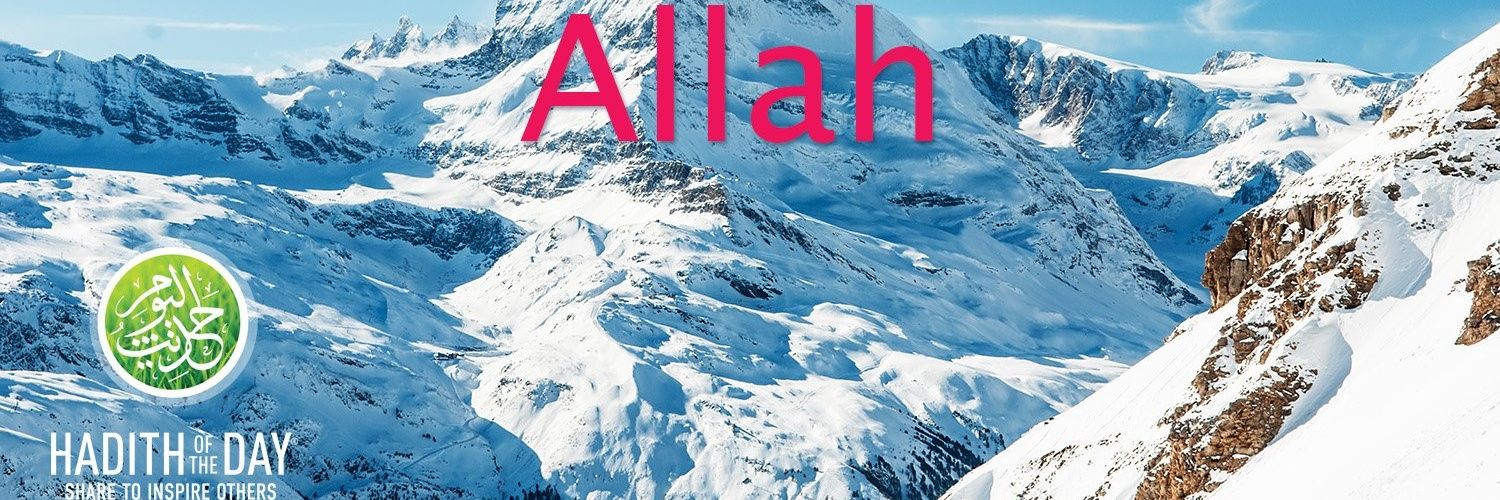 shaaban01's profile banner image