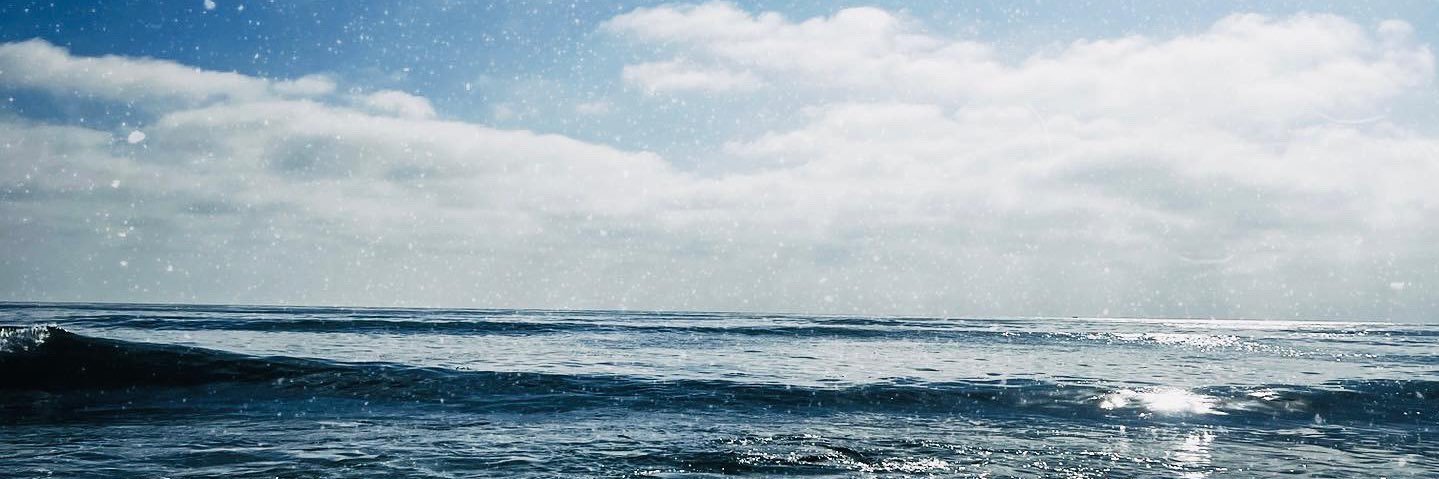 beejsteen's profile banner image