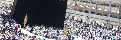 زهرة اللوتسAllotus flower banner