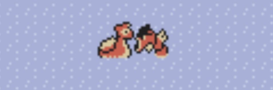 CollectorCheech's profile banner image