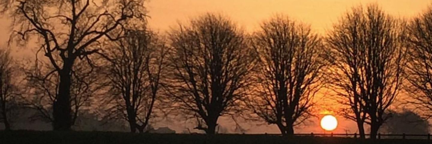 Celine Croarkin banner