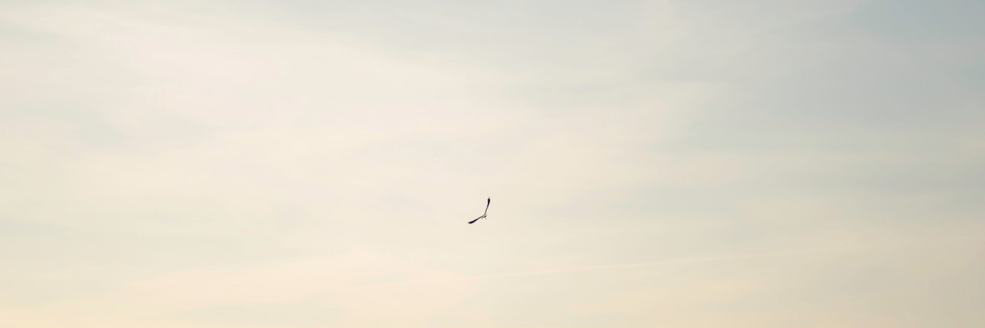 zhyrkovsky's profile banner image