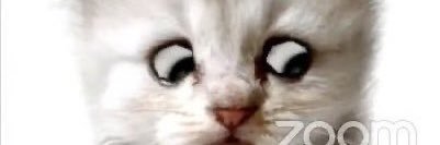 Richard Valtr banner