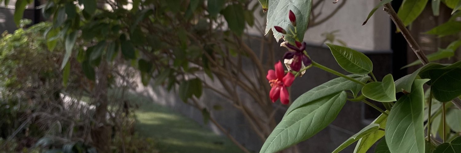 OhudAlr's profile banner image