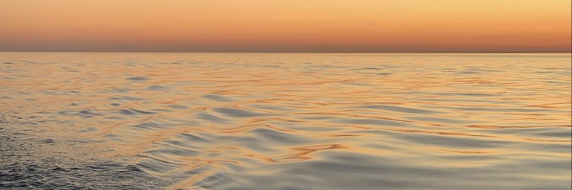 shannonsully778's profile banner image