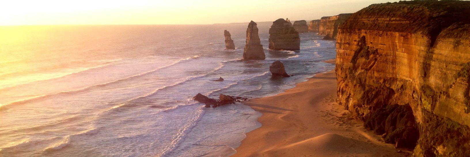 Natalie Taylor banner