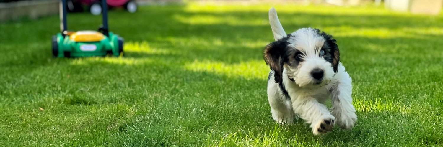 ryanmullenuk's profile banner image