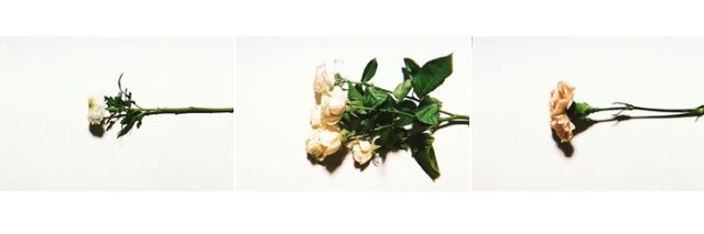 RRKhgs's profile banner image