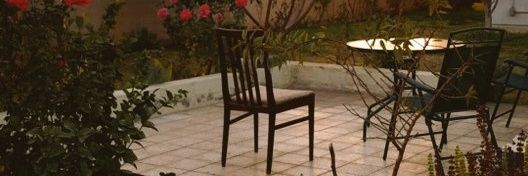 الزهراء🌱. banner