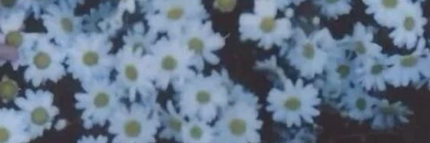 ml0ooka's profile banner image