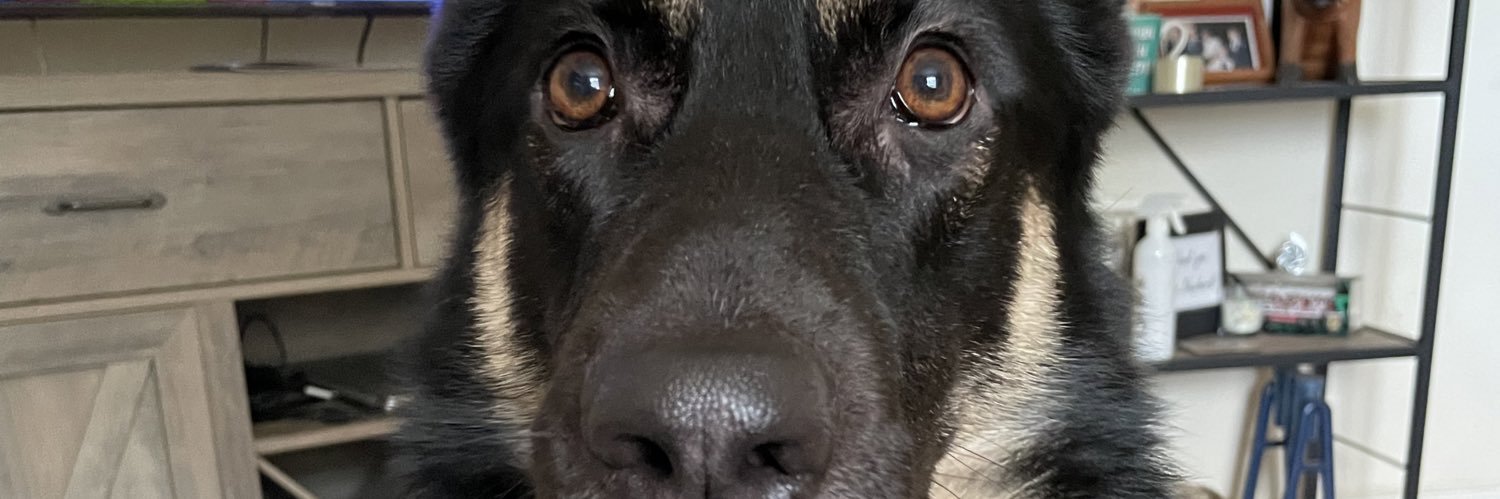 dazshep69's profile banner image