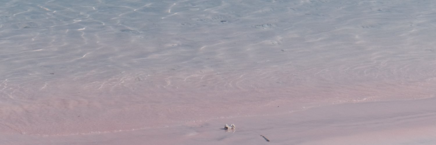 dneeeeee's profile banner image
