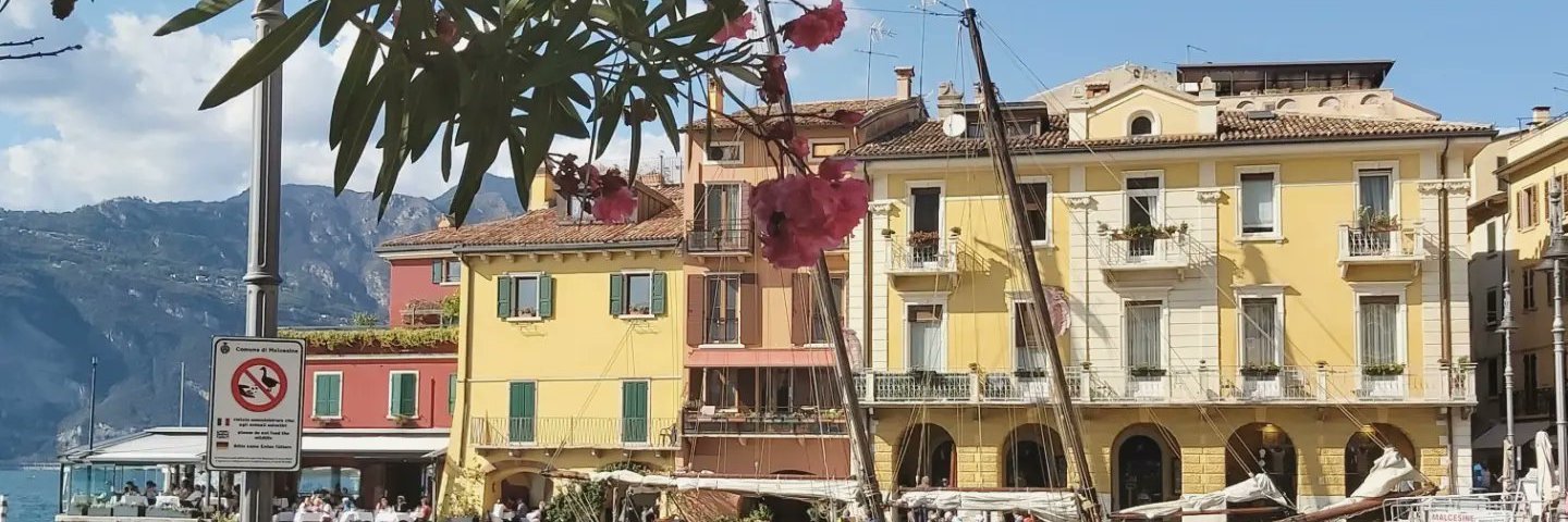 Clarissa Maycock banner