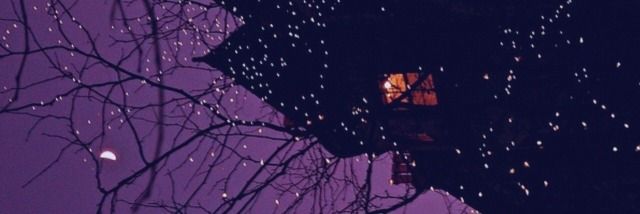 mantarae_'s profile banner image
