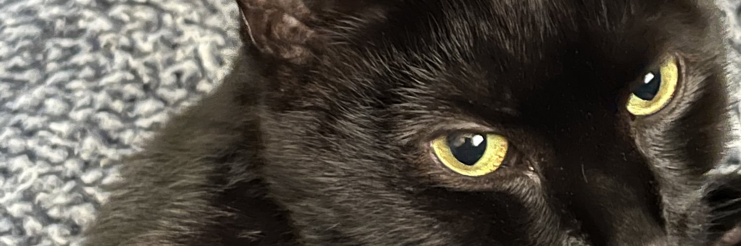 tarasounds72's profile banner image