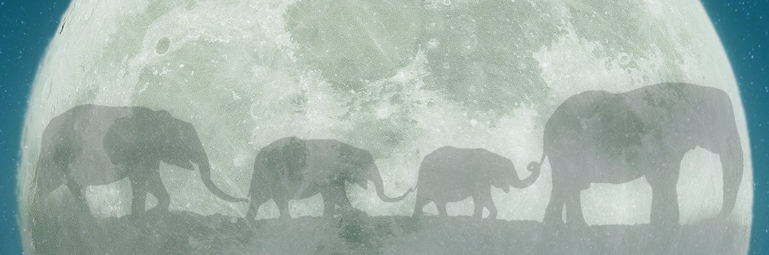 nankulunaisa77y's profile banner image