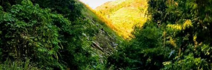 fmarcadoa's profile banner image