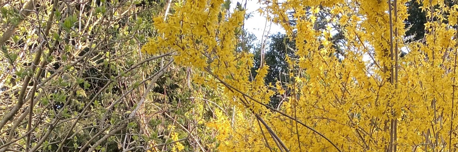 amathewUK's profile banner image