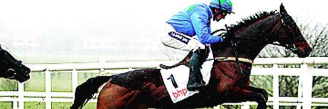 Dylan Delaney banner