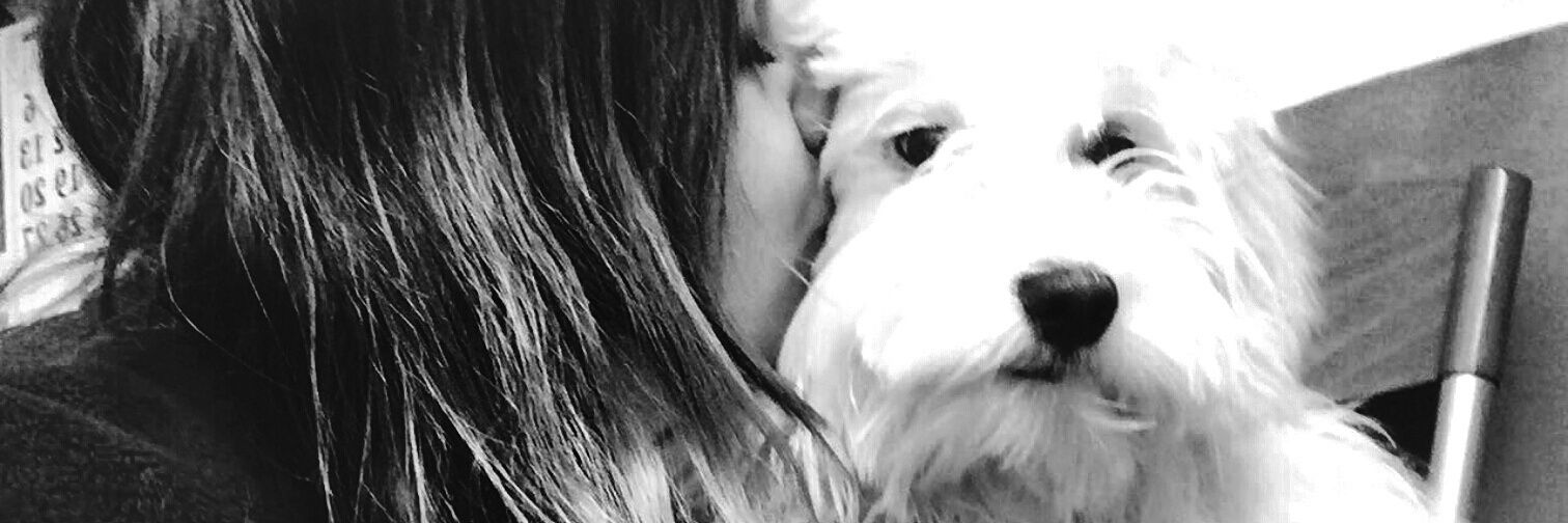 MariiaCoco's profile banner image