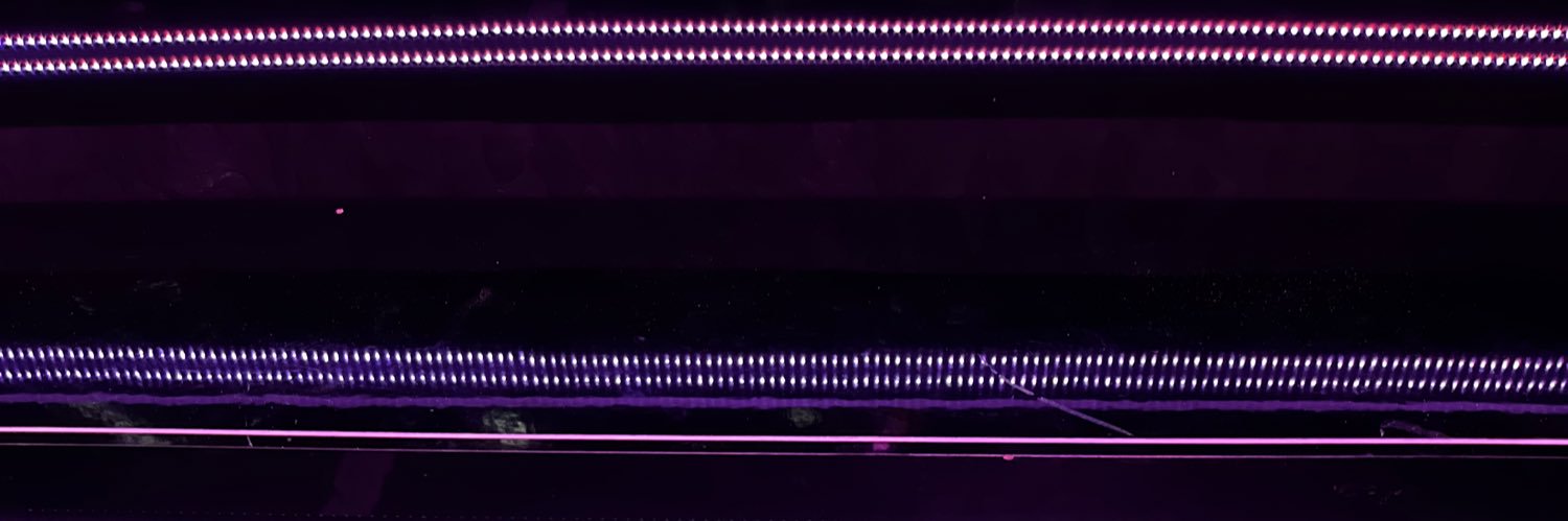 Bagewitz's profile banner image