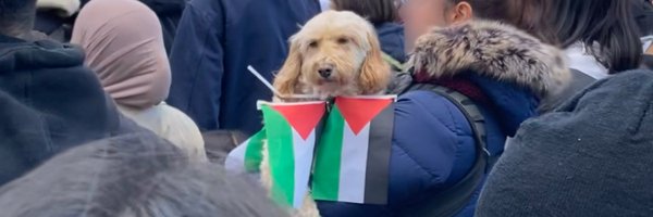 _david_craig Profile Banner