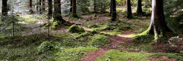 nimtimtim Profile Banner