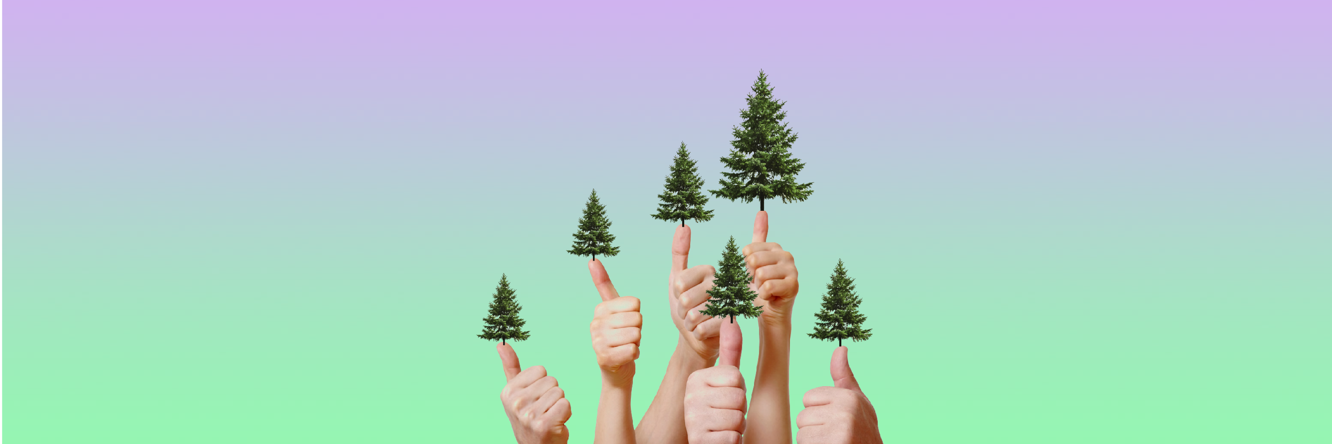 0ddStudio's profile banner image