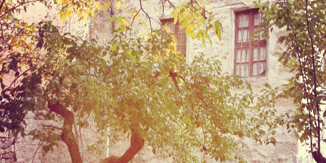 cemalcaneroglu's profile banner image
