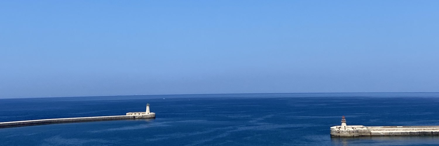 _simrenh's profile banner image