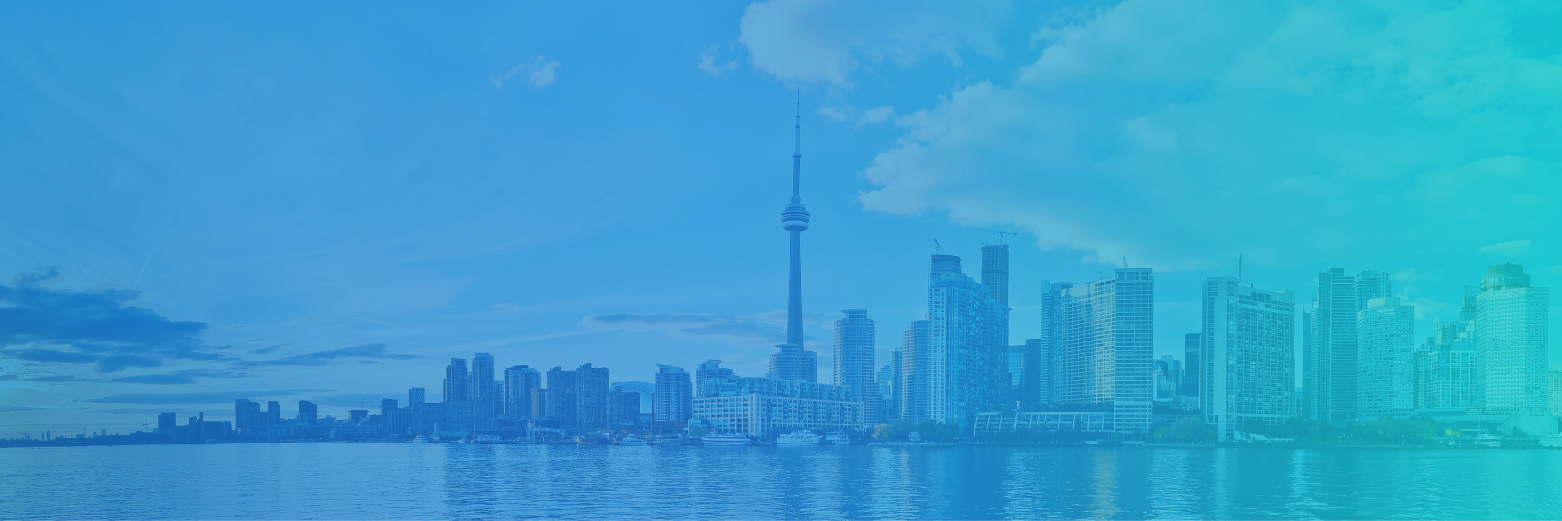 torentals's profile banner image