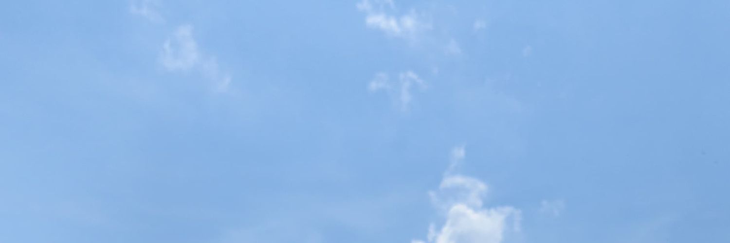 Camila Barcelos banner