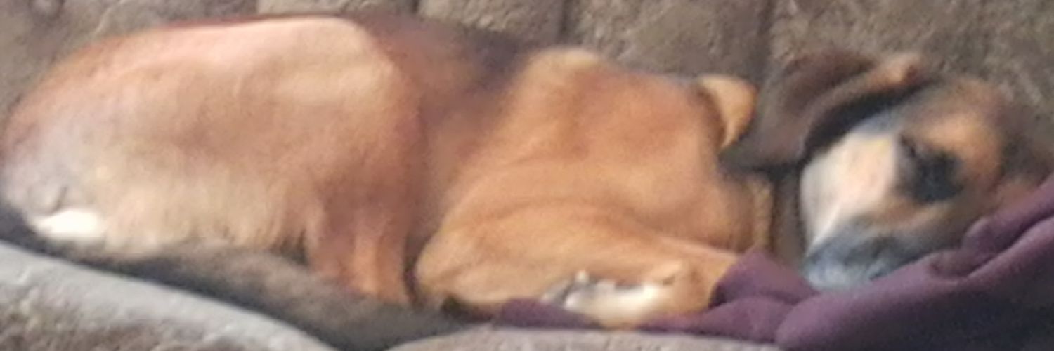 No_Suggestions's profile banner image