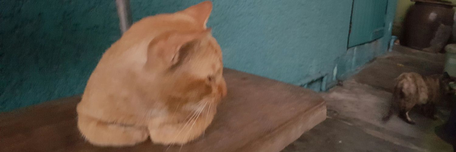 MooTation's profile banner image