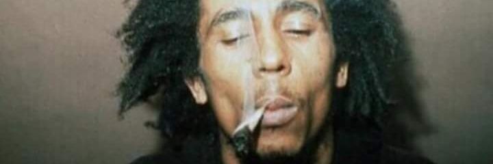 damnwhathell's profile banner image