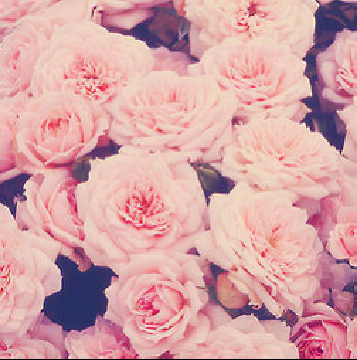 __rbntm's profile banner image