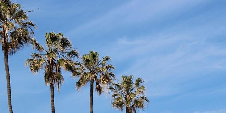 Ꭺ. banner