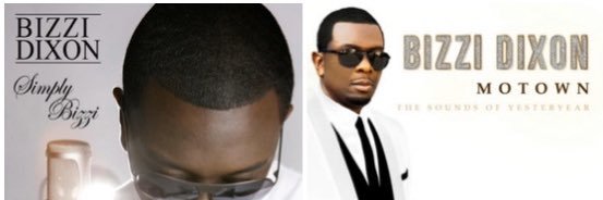 Bizzi Dixon banner
