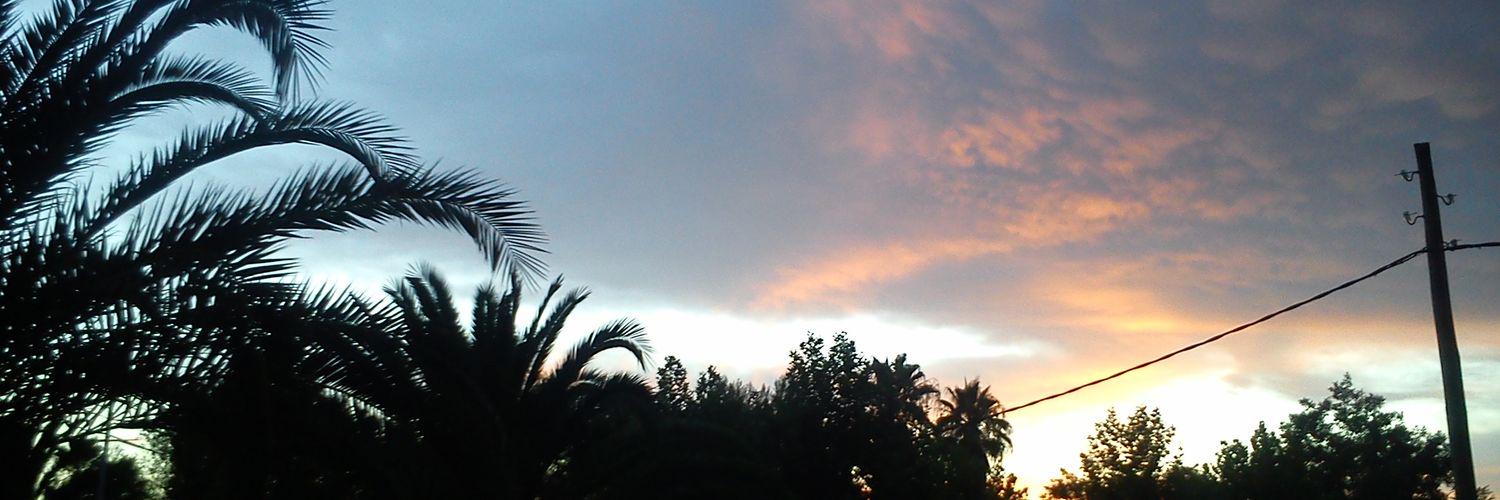IrenePorqueNo's profile banner image