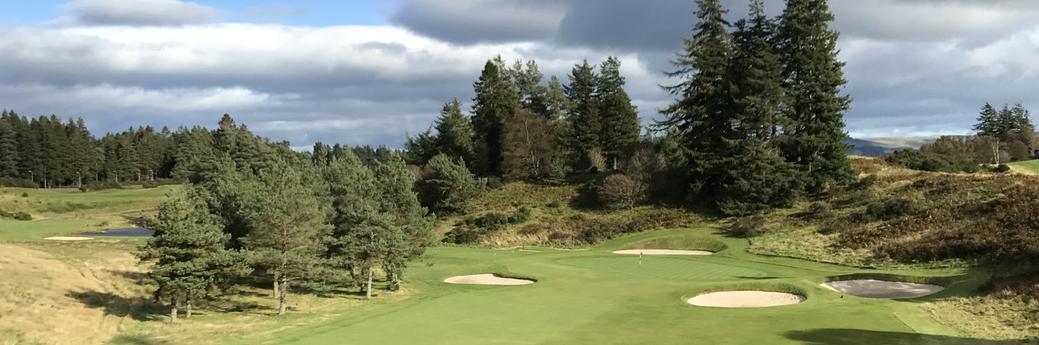 Hannah McCook banner