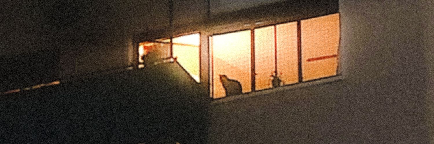 miguebaskis's profile banner image
