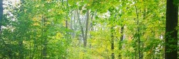 NathanRCore Profile Banner