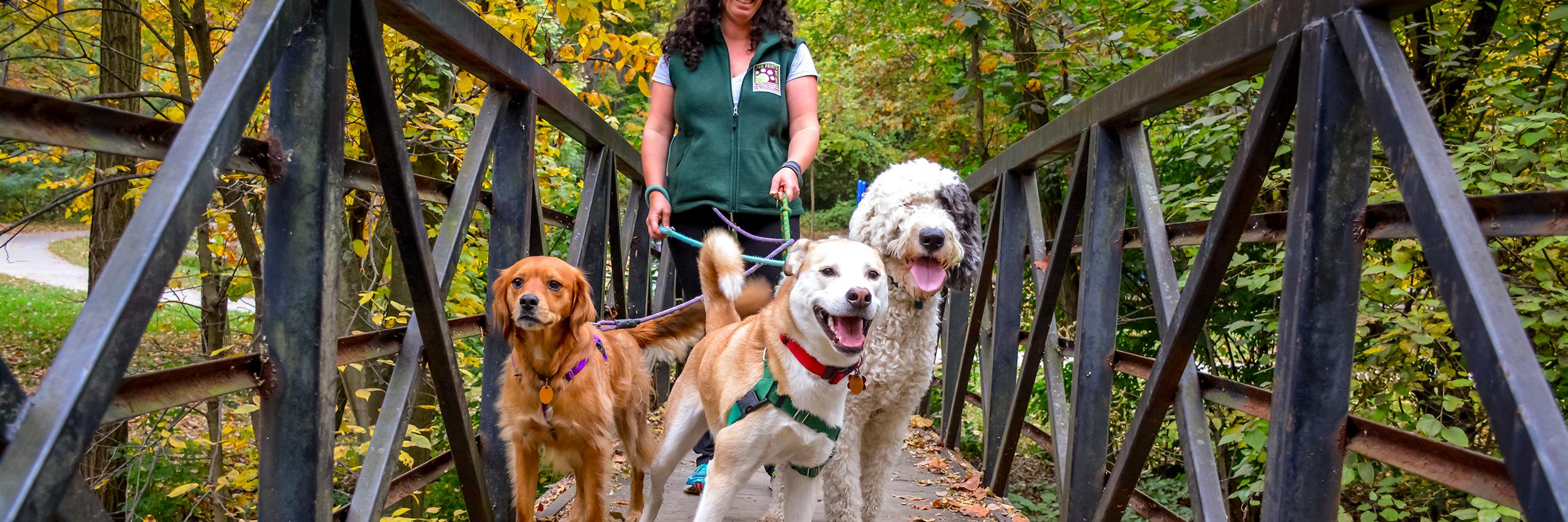 pawprintsdc's profile banner image
