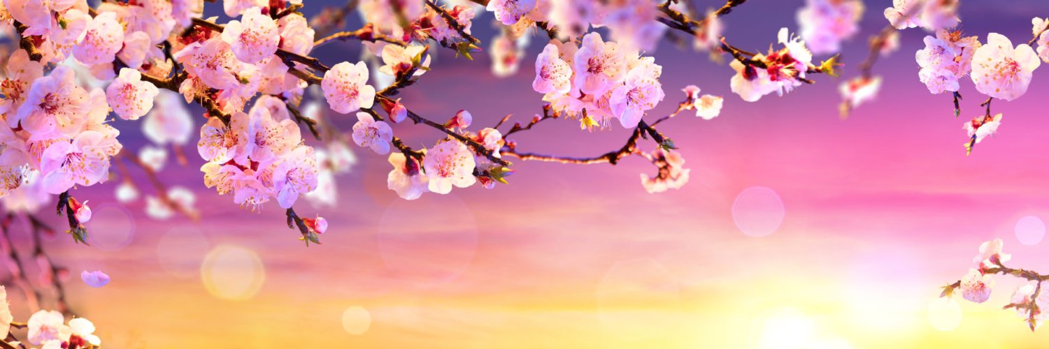 Lucka Šroubková banner