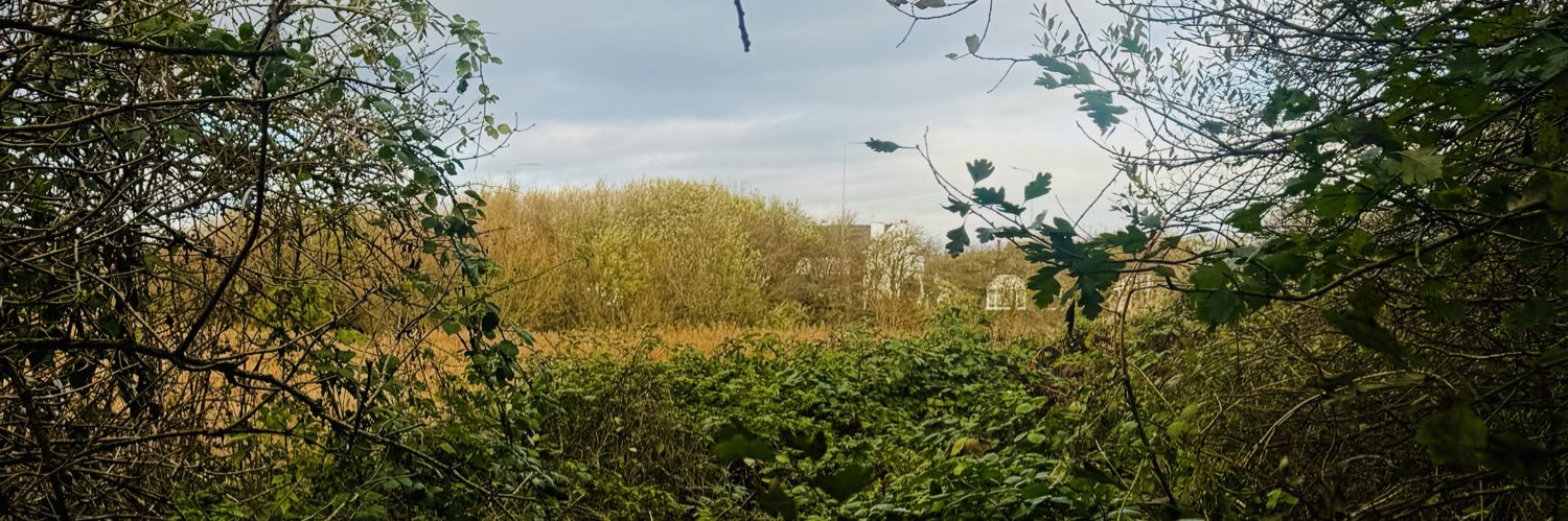 loisaimee's profile banner image